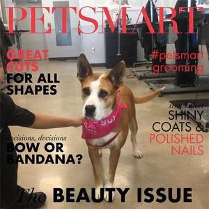 Meet your Posher, Tracy